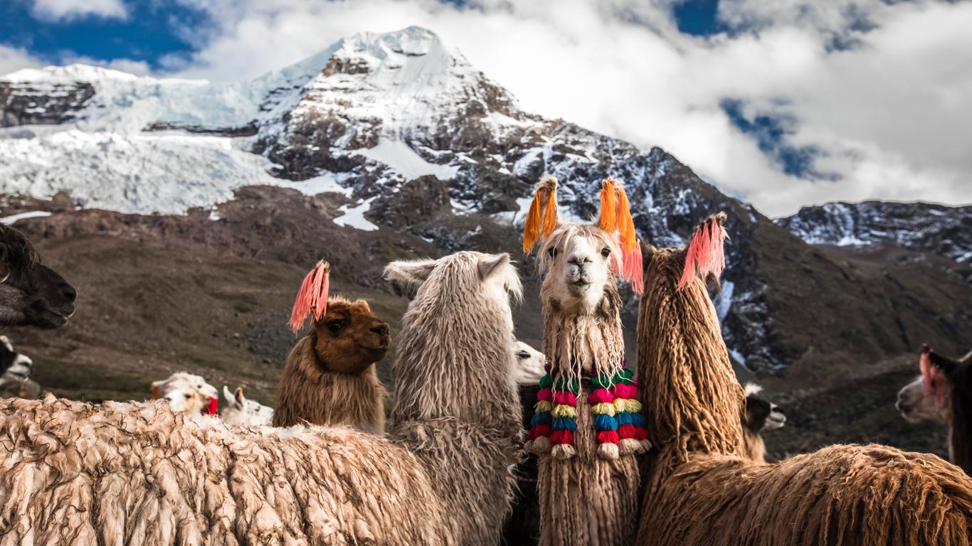 Look for other cheap flights to Cusco
