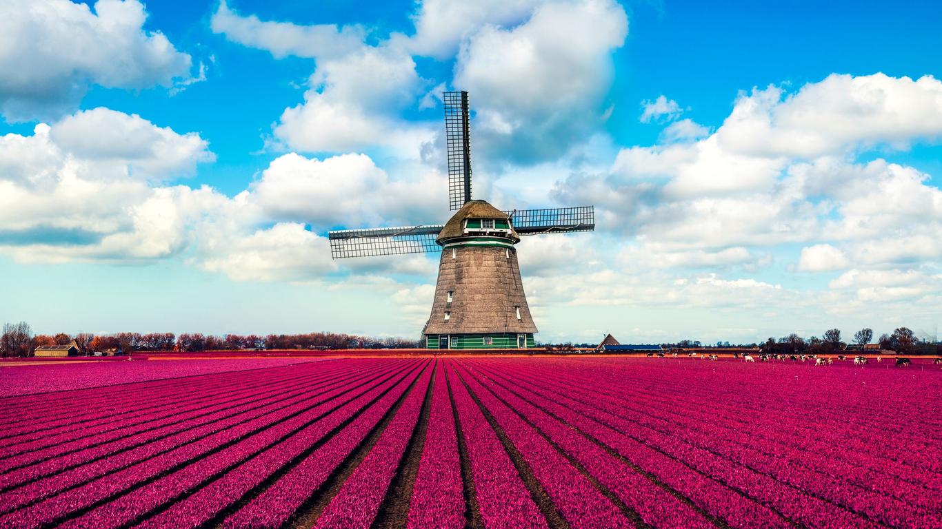 Look for other cheap flights to Netherlands