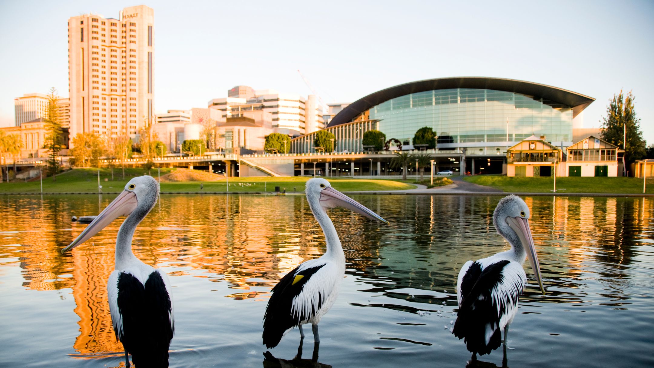 $838 Cheap Flights from Rome to Adelaide in 2026 | momondo
