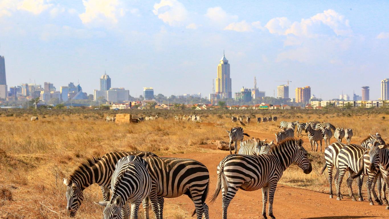 Look for other cheap flights to Kenya