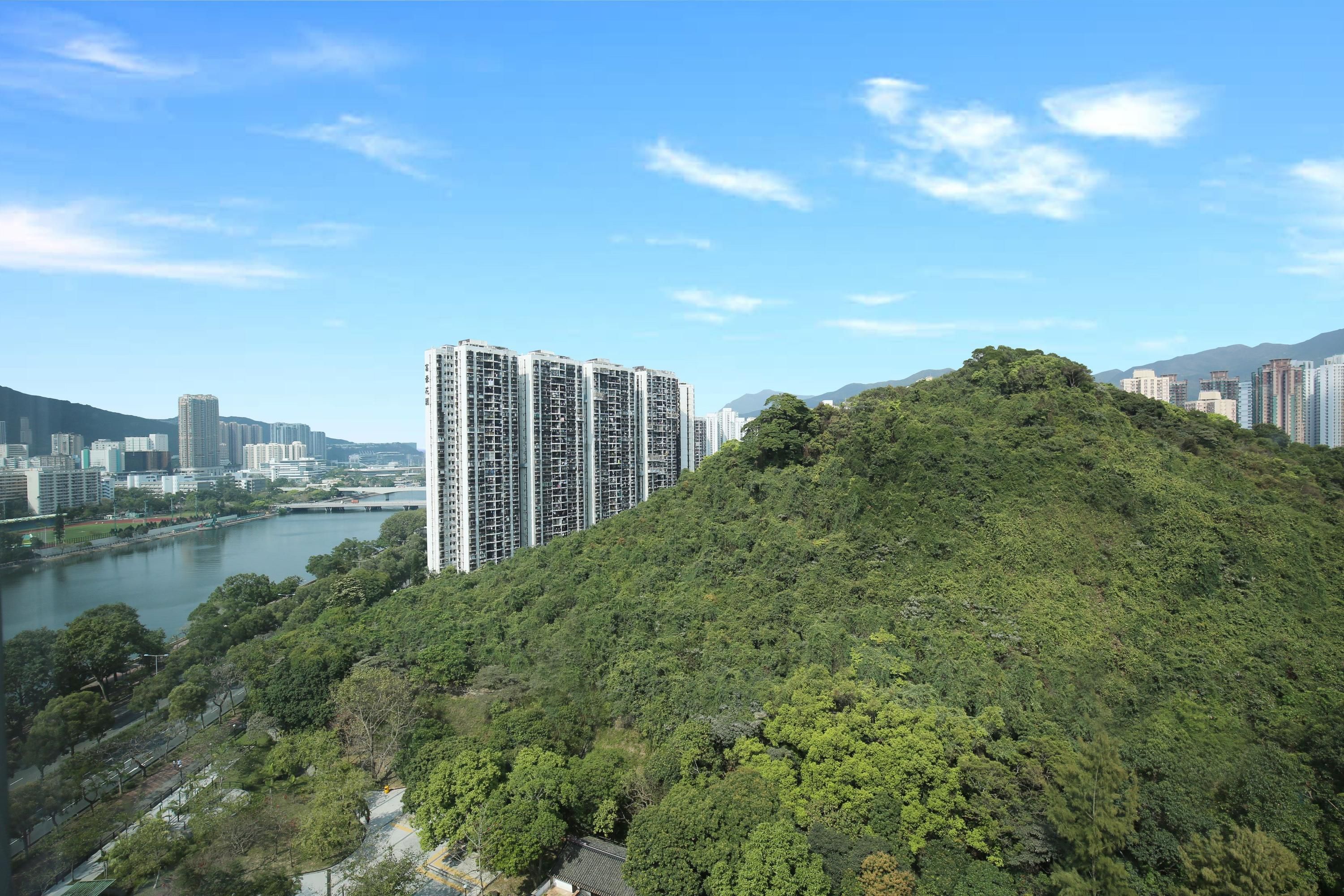 Outdoor view